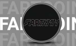 fartcoin