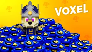 voxel token