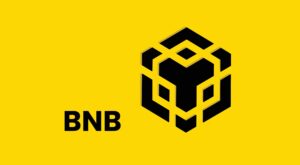 bnb treasury